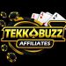 tekkbuzz game